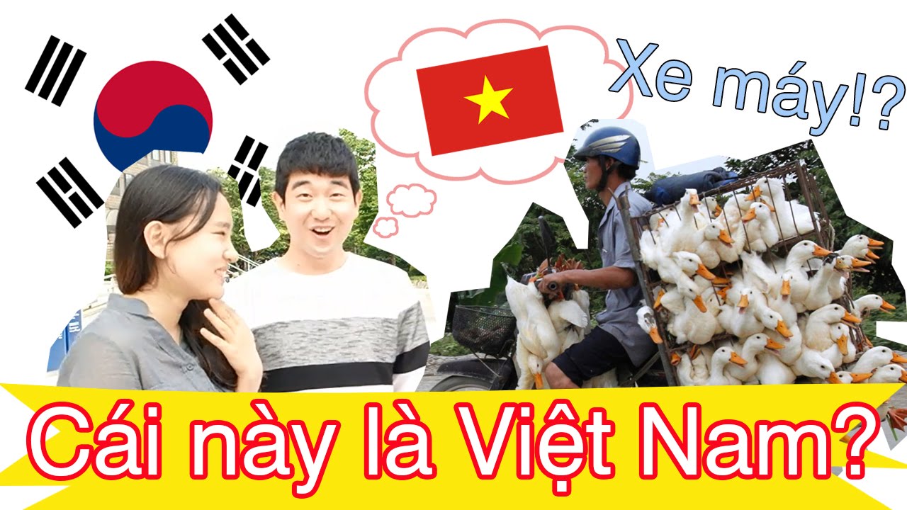 Người Hàn Quốc thích gì ở Việt Nam?