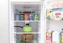 Giới thiệu một số dòng tủ lạnh mini tốt nhất trên thị trường