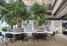 Thiết kế nội thất văn phòng kết hợp với các mảng xanh