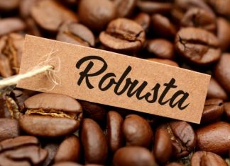 Ảnh 2: Hạt cà phê robusta