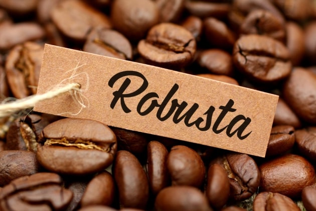 Ảnh 2: Hạt cà phê robusta